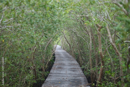 Laem Phak Bia, Phetchaburi Province, Thailand