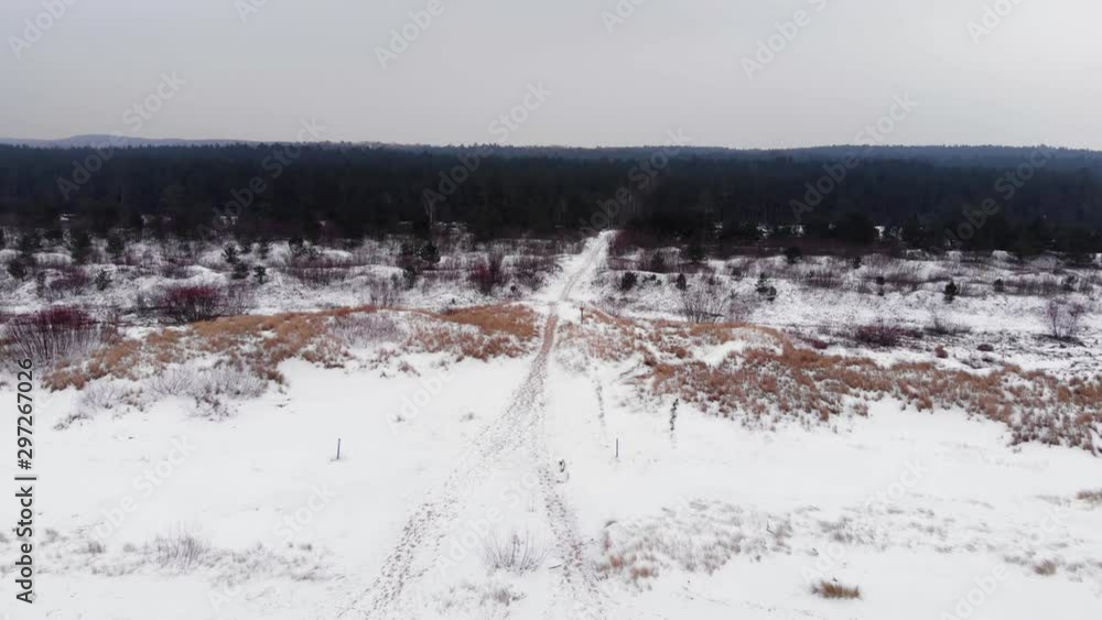 A dolly shot of hills and forest near the Baltic Sea captured during winter. Monochromatic at the end. A dolly shot of hills and forest near the Baltic Sea captured during winter. Monochromatic at the end.