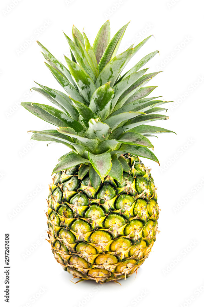 Fototapeta premium pineapple on white blackground