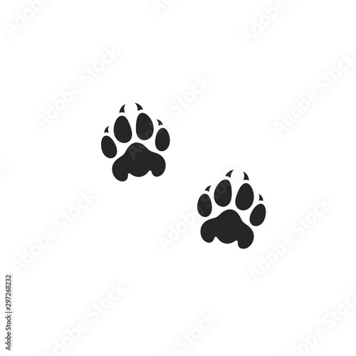 Lion paw print. Wild animal