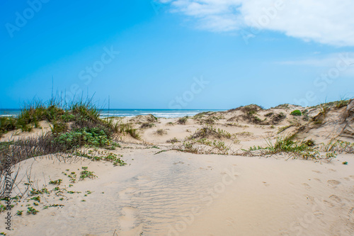 Fotografia A beautiful soft and fine sandy beach along the gulf coast of South Padre Island