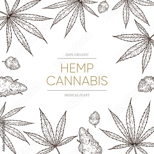 Cannabis sketch background. Medical marijuana leaves and seeds concept for cbd oil banner. Hand drawn ganja vector poster. Illustration cannabis poster, natural weed for medicine