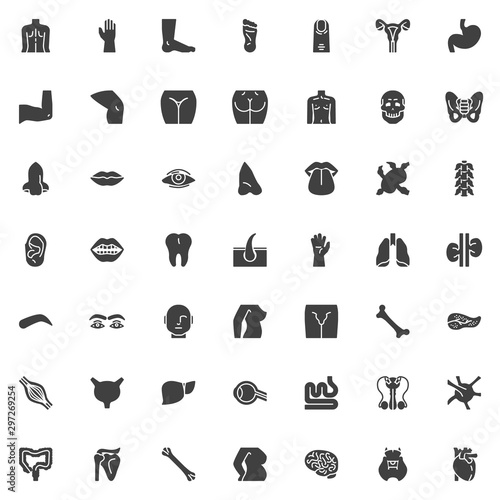Human body parts vector icons set, modern solid symbol collection, filled style pictogram pack. Signs, logo illustration. Set includes icons as human internal organs, heart, brain, blood, backbone
