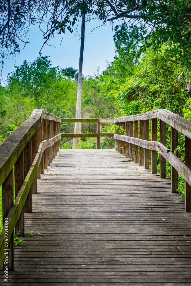 A forest trail boardwalk in Frontera Audubon Society, Texas