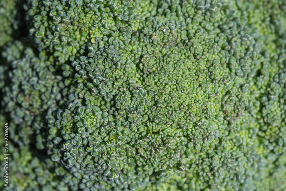 Fresh green broccoli. Organic food. green vegetables