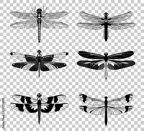 Vector Black Dragonfly icons set isolated on transparent background.