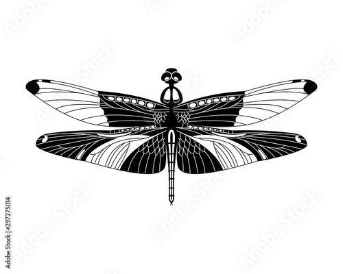 Black vector dragonfly icon isolated on white background,