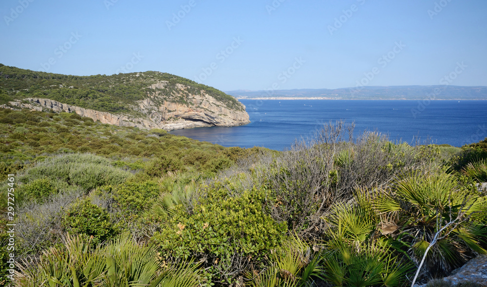 the highest point of Punta Giglio in the Mediterranean coast of Sardinia in the Natural Park of Porto Conte. Alghero town in the background