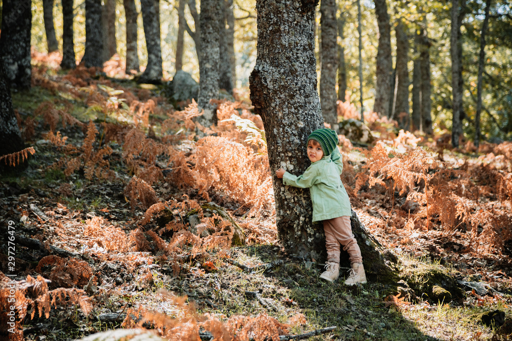 Little girl in an autumn forest among ferns