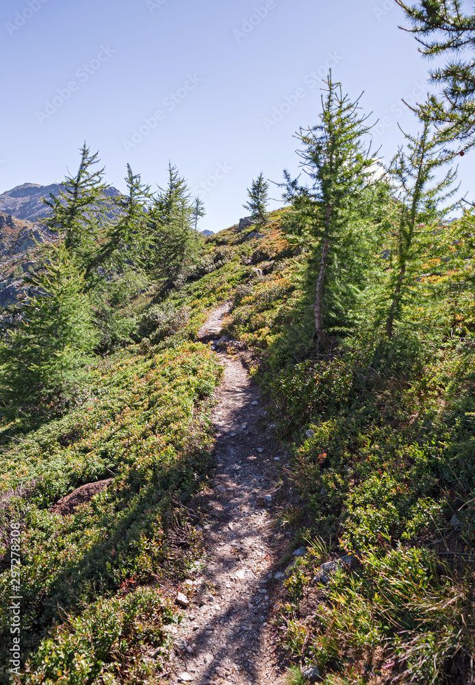 The mountain path on a sunny autumn day. The mountain path on a sunny autumn day.