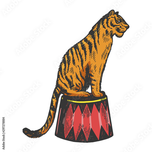 Circus tiger animal engraving vector illustration. Scratch board style imitation. Black and white hand drawn image.
