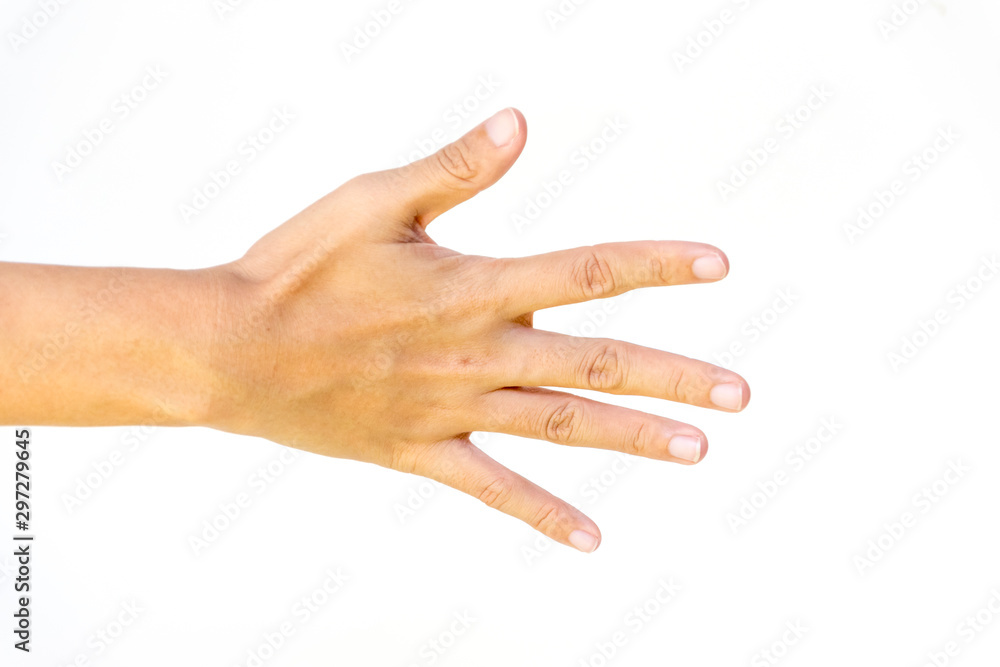 hand isolated on white background with five fingers raised hand isolated on white background with five fingers raised