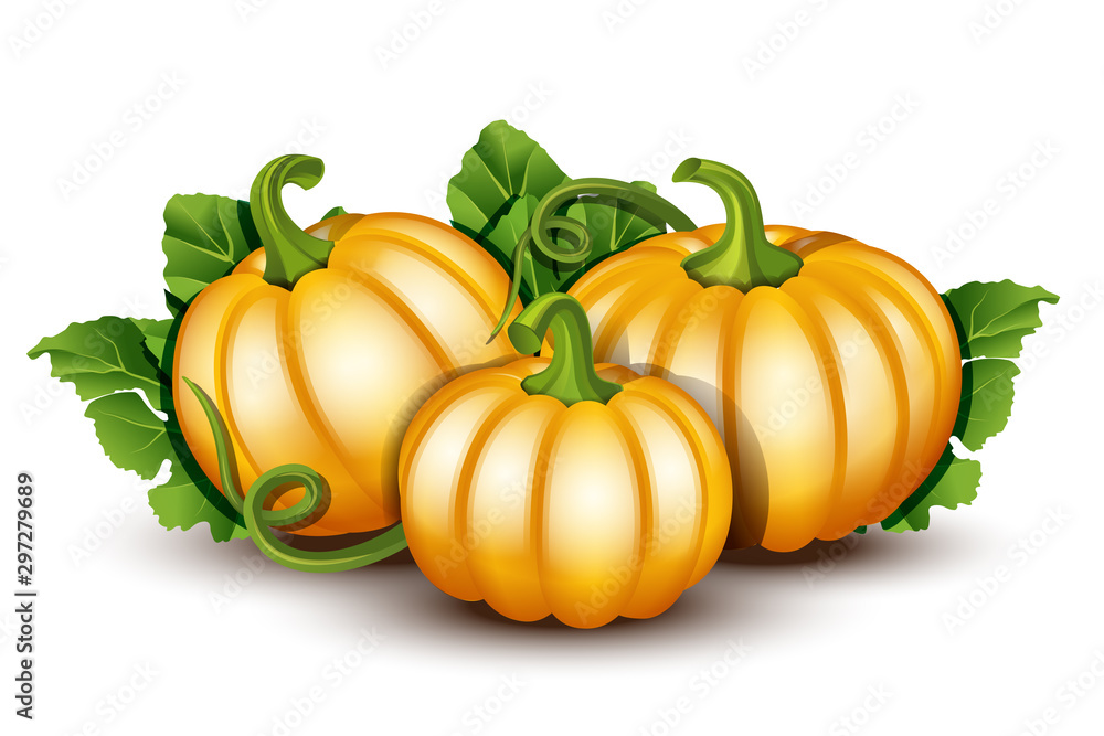 Pumpkins with leaves isolated on white background Pumpkins with leaves isolated on white background