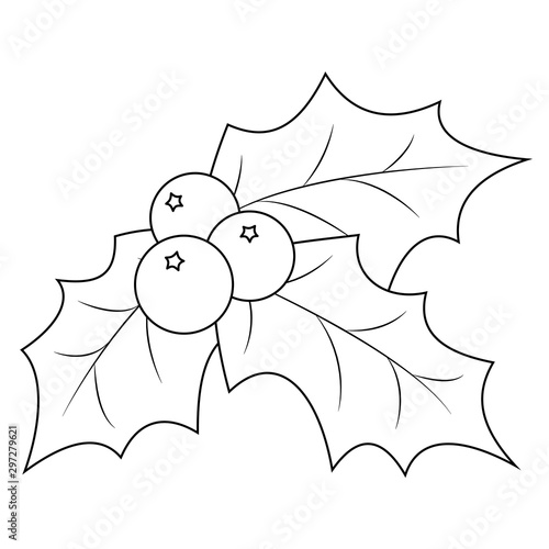 Coloring book page Christmas holly berry leaves. Vector illustration on a white background.