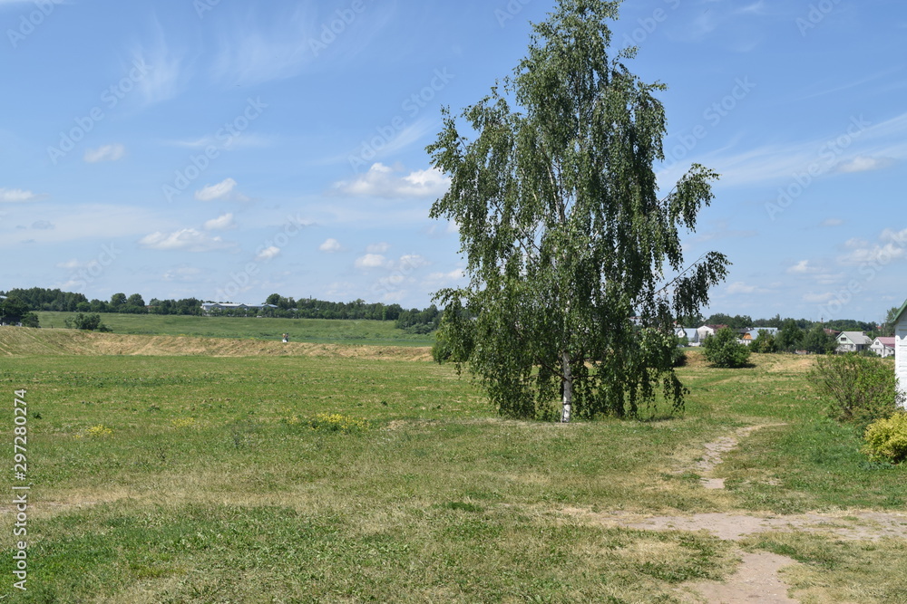 Russian landscape with birch in the foreground. Suzdal, Russia. Russian landscape with birch in the foreground. Suzdal, Russia.
