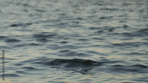 Wallpaper Mural The peaceful water surface in a lake with small waves.Background footage, low depth of field. Real-time. Torontodigital.ca