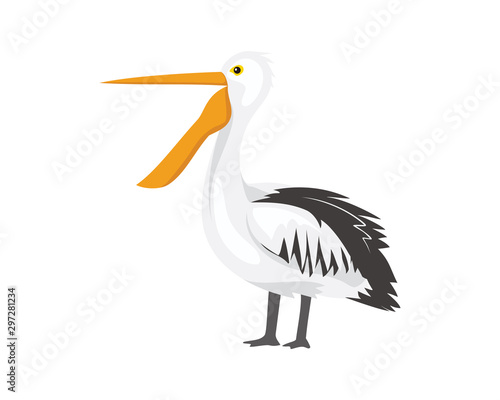 Standing Pelican with Opened Mouth Illustration