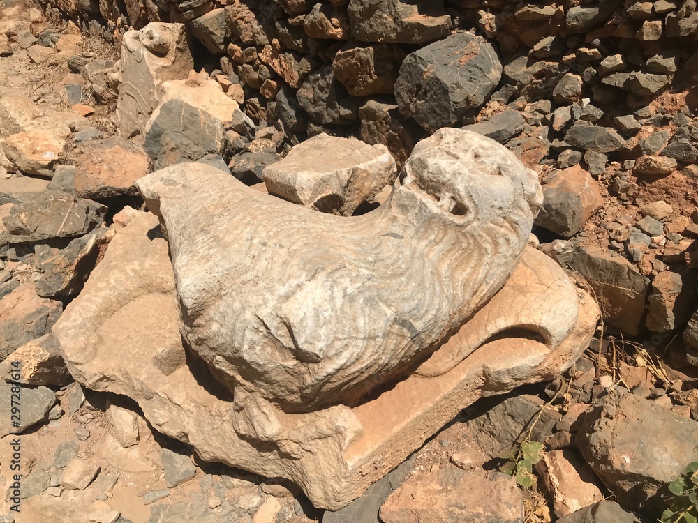 Obraz premium lizard on a rock