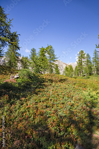 Panoramic view of a valley in the mountains of the Alps, on a sunny autumn day.