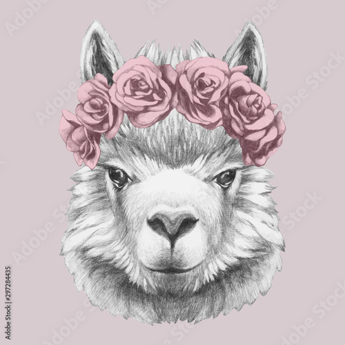 Portrait of Llama with floral head wreath. Hand-drawn illustration.Vector isolated elements.	