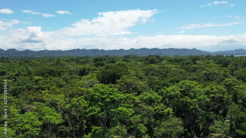 Aerial view of thick forest in Costa Rica Aerial view of thick forest in Costa Rica