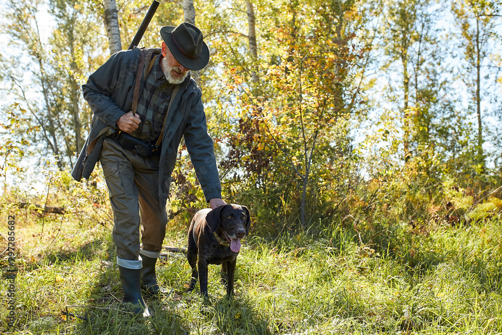 Senior hunter man with his dog in search of trophy, in forest