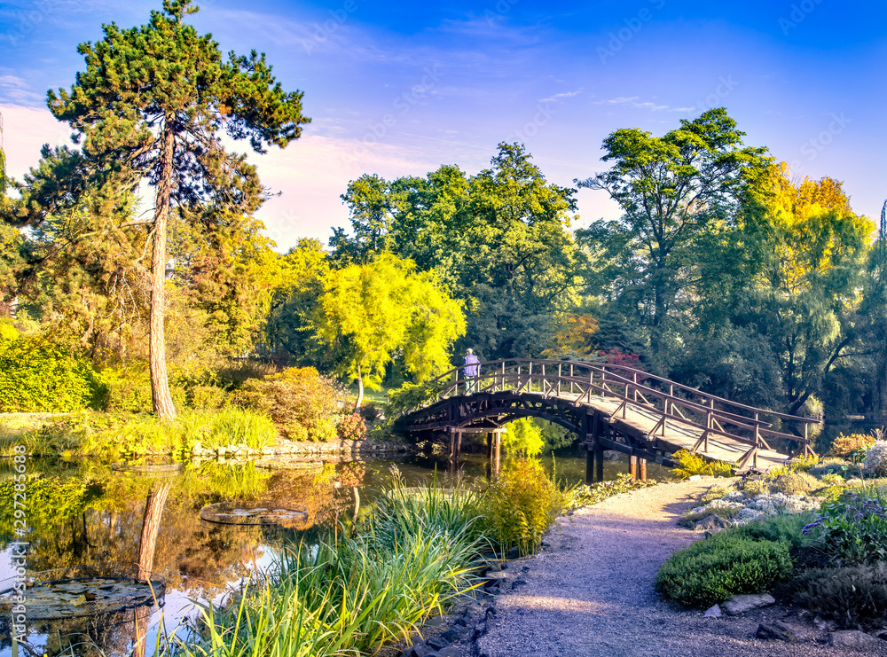 Fototapeta premium Japanese garden in fall time