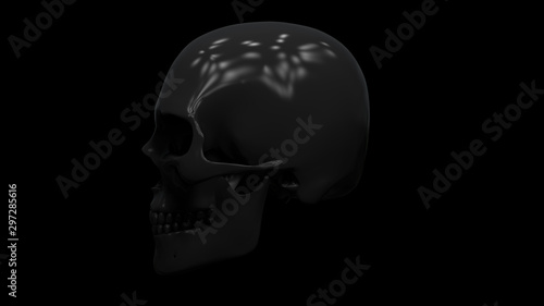 Skeleton skull
