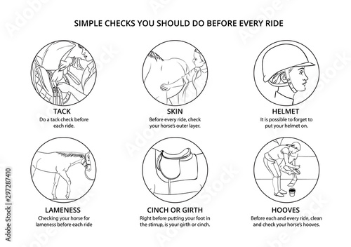 Poster for horse info graphic design.