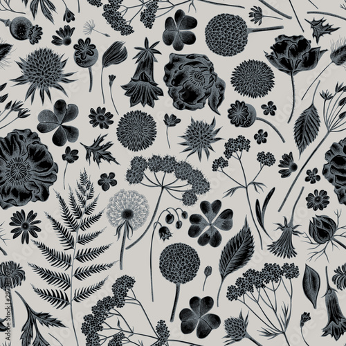 Seamless pattern with hand drawn stylized shepherd's purse, heather, fern, wild garlic, clover, globethistle, gentiana, astilbe, craspedia, lagurus, black caraway, chamomile, dandelion, poppy flower