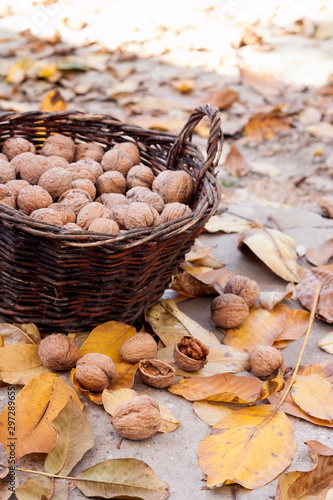 Walnuts in a wicker basket on a background of fallen yellow leaves