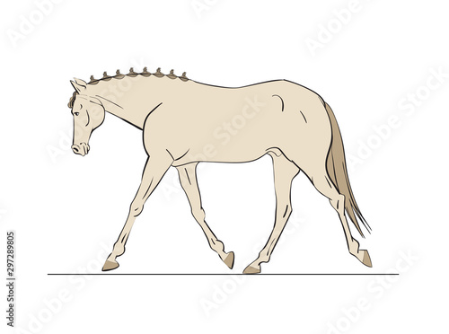 White horse in cartoon style. Use it for card, poster or web page design creating. Vector illustration.