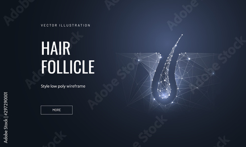 Hair follicle low poly landing page template photo