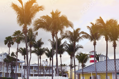 Tableau sur toile sunset on the beach, Palm trees and rooftops against blue sky, vintage toned lig