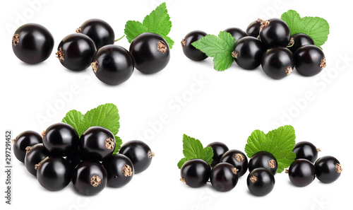 Set or collection black currant with leaf isolated on white background