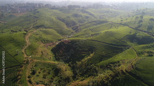 aerial view landscape mountain texture leaf tea beautiful drone landscape