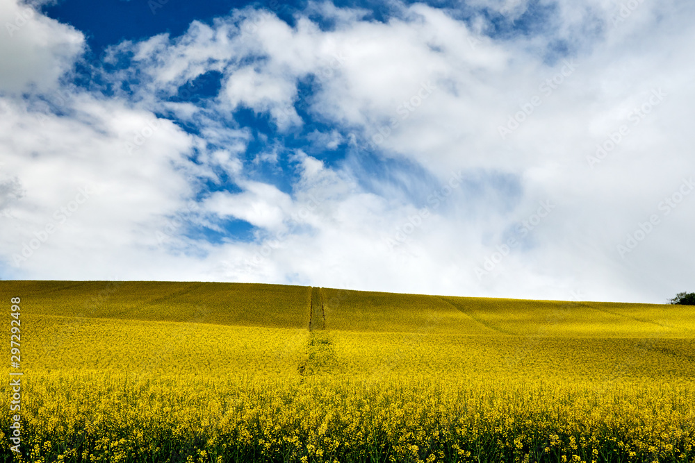 Fototapeta premium The rape chain with some special clouds