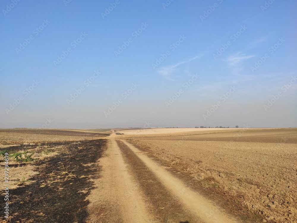Vojvodina Serbia landscape flat arable fertile land in autumn