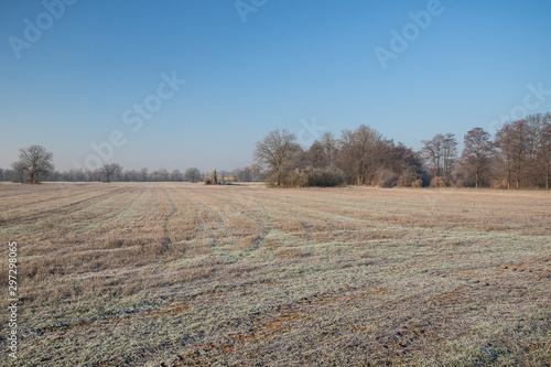 frozen field texture