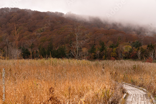 秋田県大沼の紅葉の景色