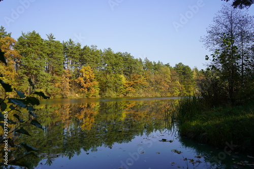 Fototapeta Naklejka Na Ścianę i Meble -  Lake in the autumn forest. Forest lake in the autumn forest. Autumn landscape with a lake and forest.