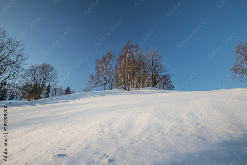 Winter land covered with snow Winter land covered with snow