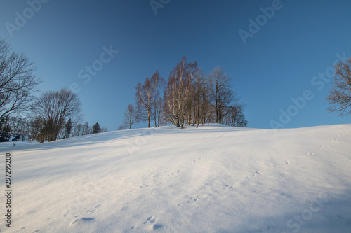 Winter land covered with snow