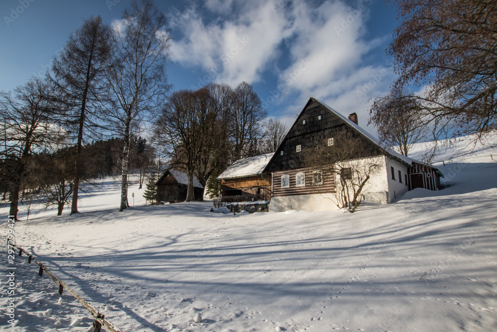 cottage in winter land