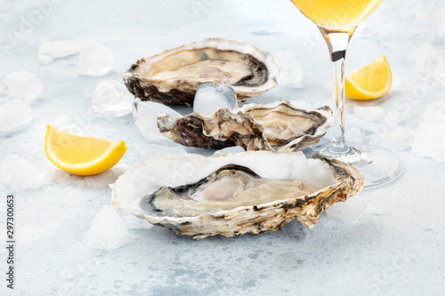 Fresh raw oysters, a close-up on ice with a glass of white wine and lemon slices