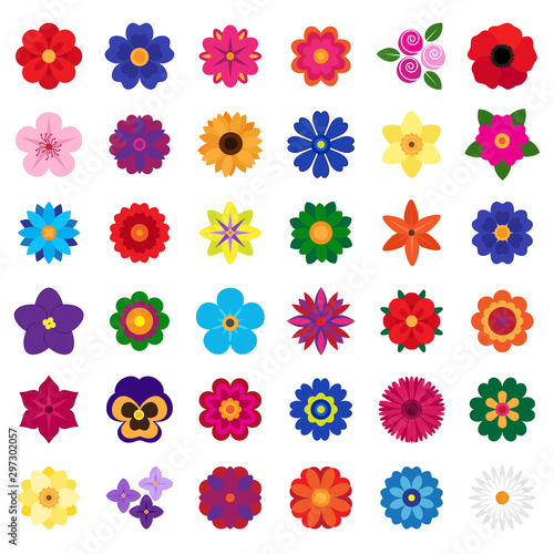 vector collection of colorful flowers on white background