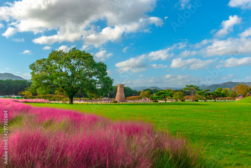  Pink meadow in Samseong Dae Cheomseongdae Park in Gyeongju, South Korea Cheomseongdae It is the oldest astronomical observatory surviving in East Asia.