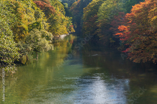 Fototapeta Naklejka Na Ścianę i Meble -  Towada Hachimantai National Park in autumn