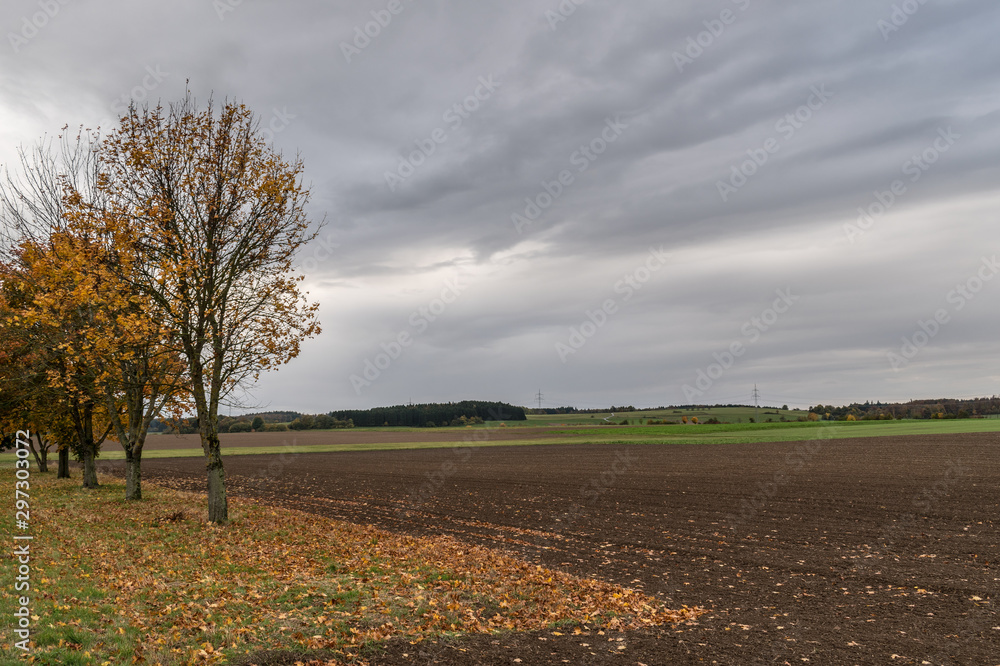 Baden-Wuerttemberg nature and Agriculture. Countryside near Waldhausen.