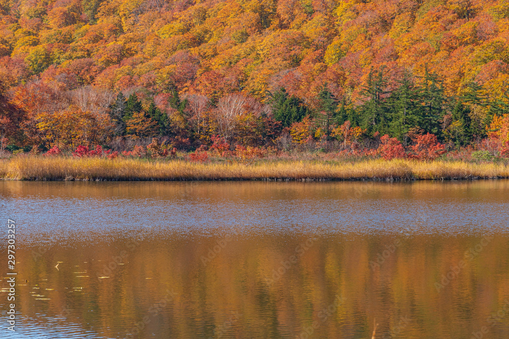 Towada Hachimantai National Park in autumn Towada Hachimantai National Park in autumn